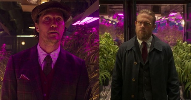 Переезд кустов конопли
