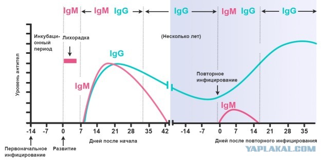 Пандемия. Коронавирус. Россия и мир. Последняя информация. Часть 17
