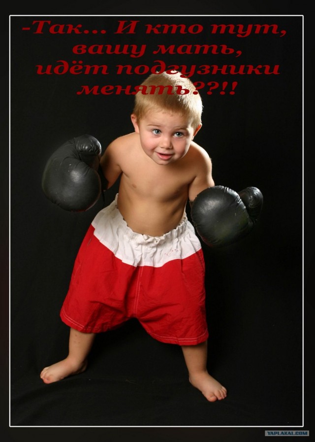 Конкурс фотожабы: Боксёр (есть приз)