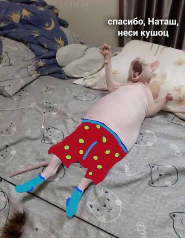 Бредзона 25.08.2020