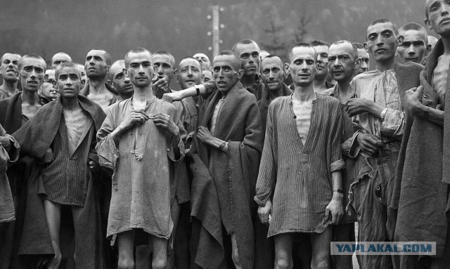 Сталинская индустриализация: возможна ли она сейчас?