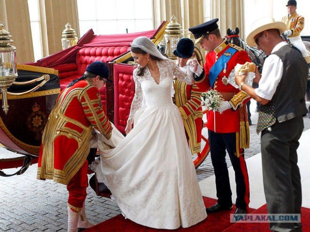 Фотожаба: бутерброд