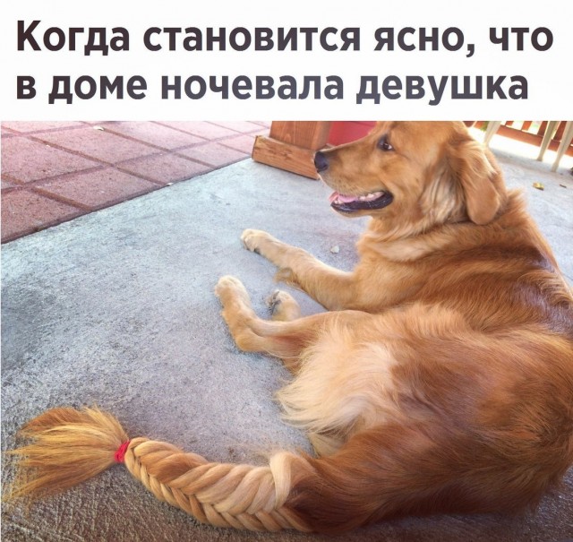 Картинки разные 10.01.21