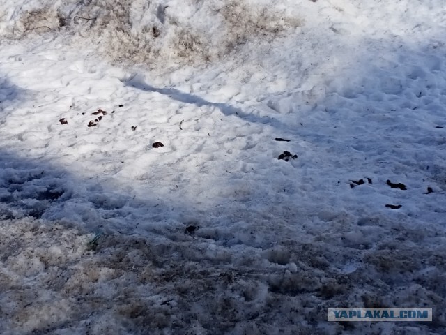 Откуда у людей деньги на новострой и машины?