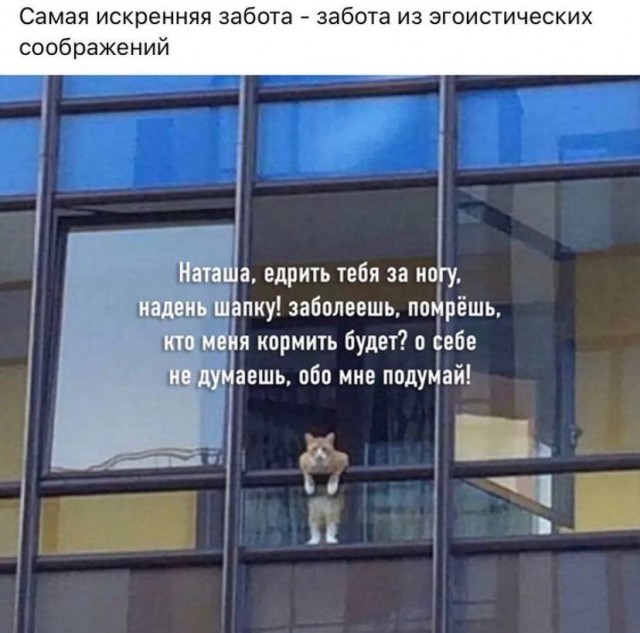 Весёлый полтишок 1.04