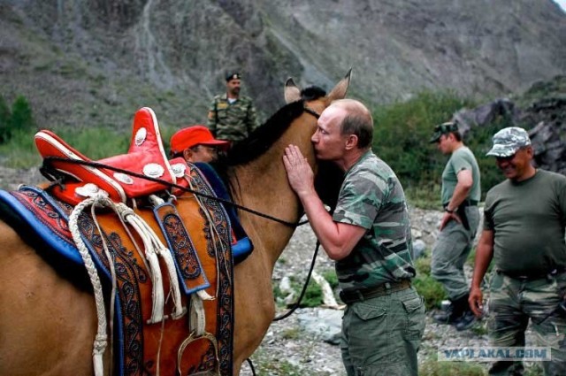 Путин целует лошадь.