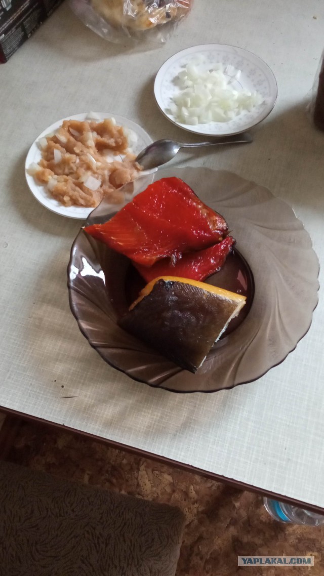 Про рыбалку. Крик души