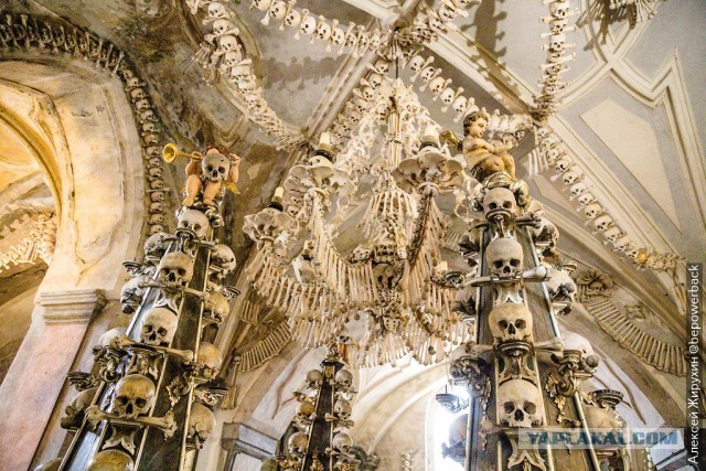 Бредзона 08.08.21