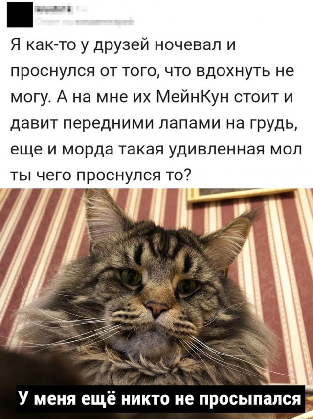 Так себе картинки 24.08.21