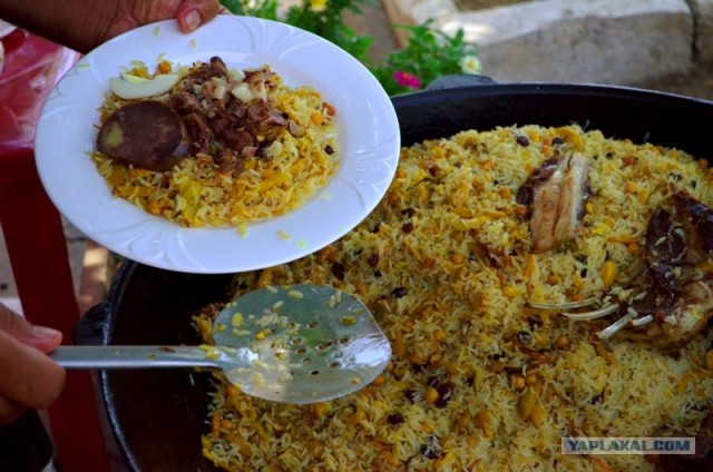 Ташкент. Плов.