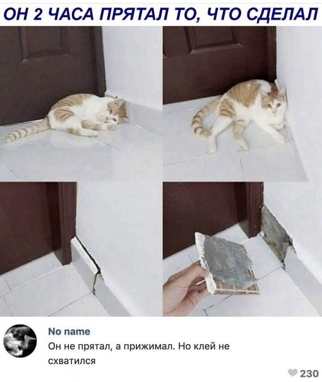 Картинки и мемы, всем прекрасных выходных