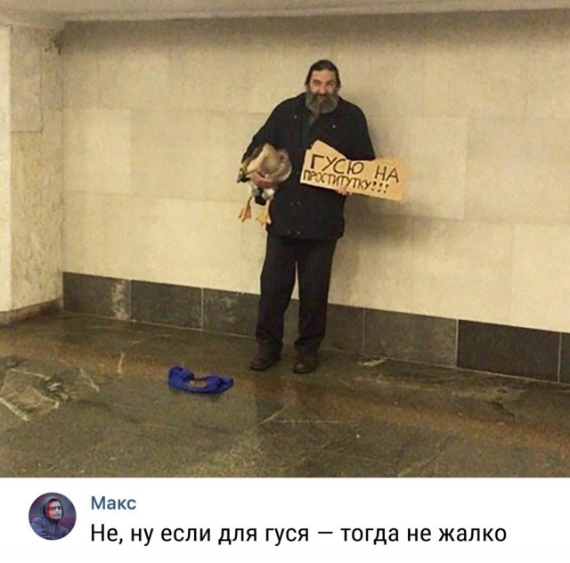 Чуток картинок 16.12.21