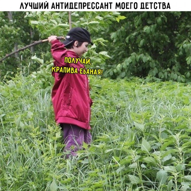 Картинки и мемы для настроения  - 31