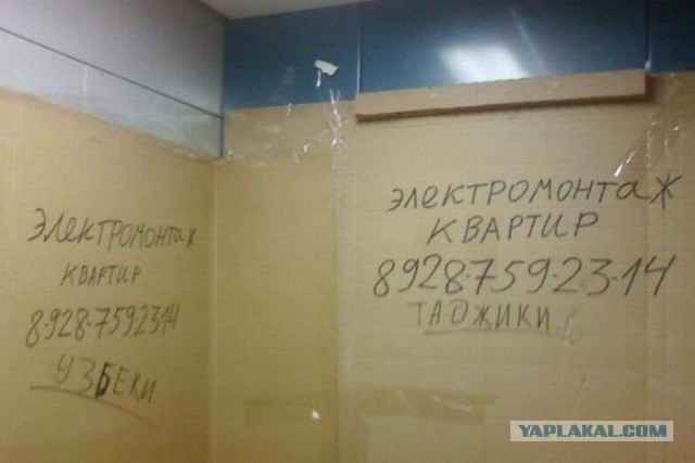 ВШЭ прогнозирует массовую деградацию россиян