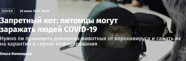 Пандемия съехавших крыш - разновидности болезни. Россия и мир. Часть 37