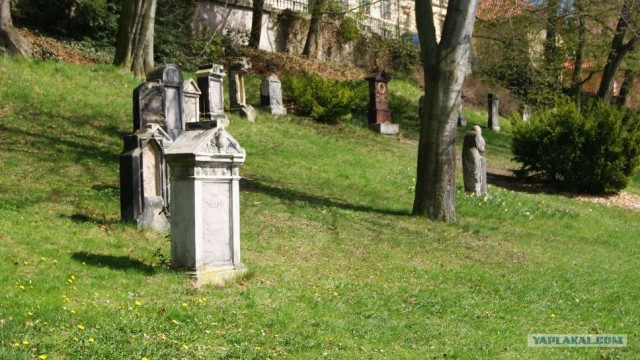 Поездка в Чехию, Германию и Австрию