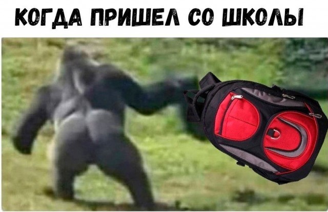 Пятница. Вечер. Картинки всякие #13