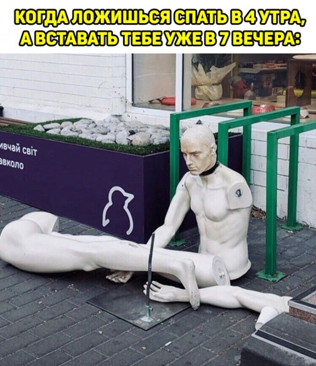 Картинки и мемы для настроения. Выходные рядышком...