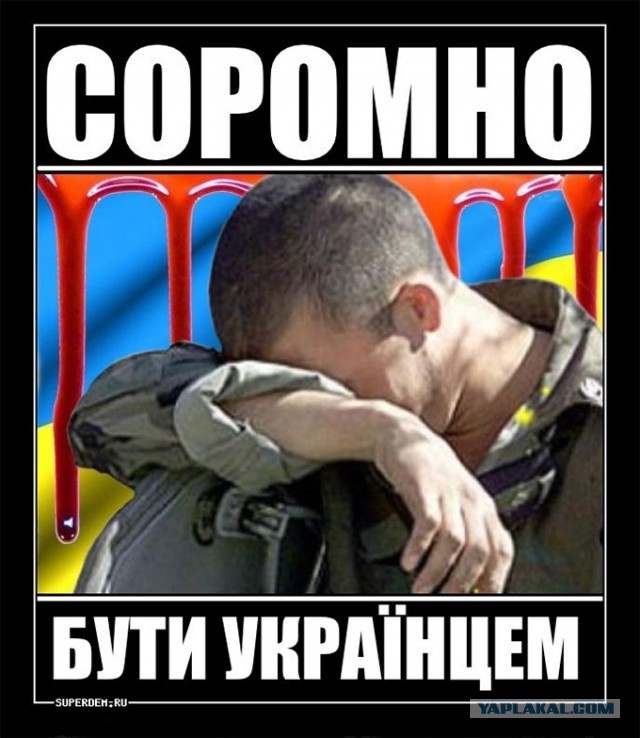 Как живет Харьков сейчас