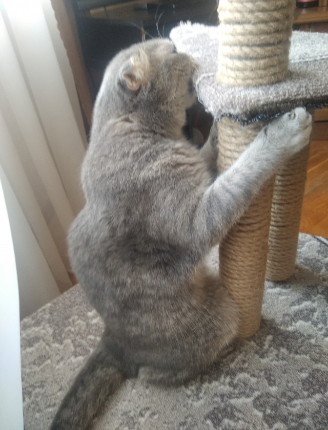 КотоФторник 23.08.22