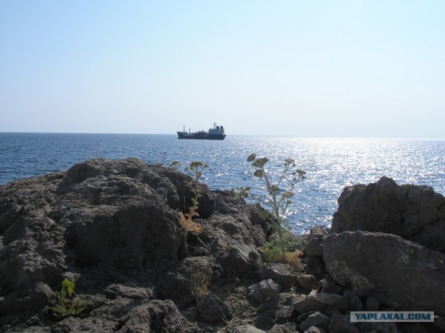 Южный берег Крыма