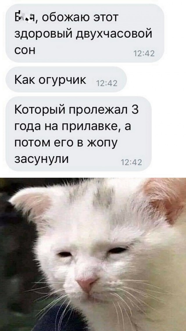 Картинки и мемы для настроения - 17