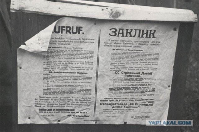Дети Украины
