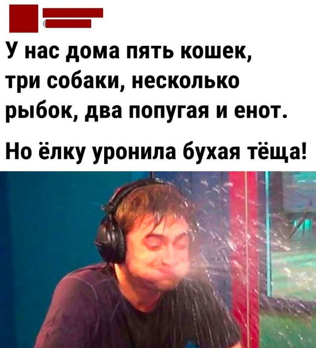 Так себе картинки 02.01.2023