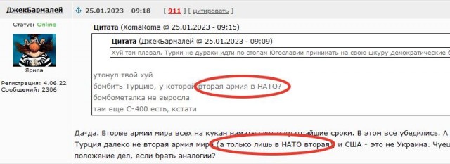 Турецкий политик призвал власти страны выйти из НАТО