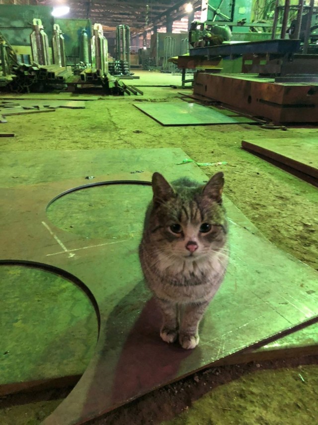 - А помнишь, как мы оси точили, а потом пазы фрезеровали?