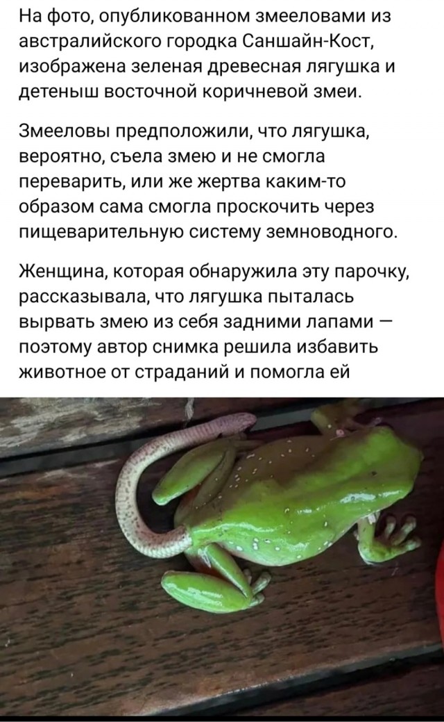 Кошмарные свидания!