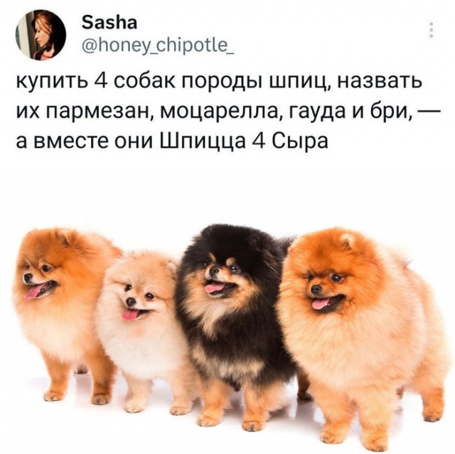 Подборка картинок 06.05.2023