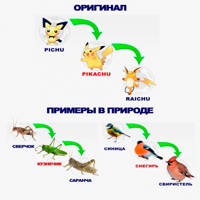 Картинки и мемы, всяко разно - 181