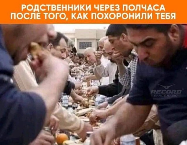 Весёлый полтишок 27.07.23