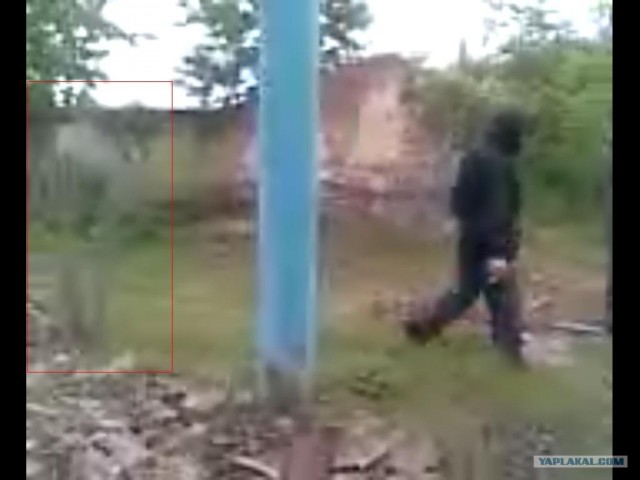Фотографии призраков