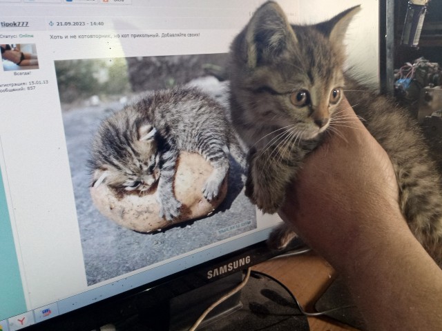 Такой маленький, а уже белорус
