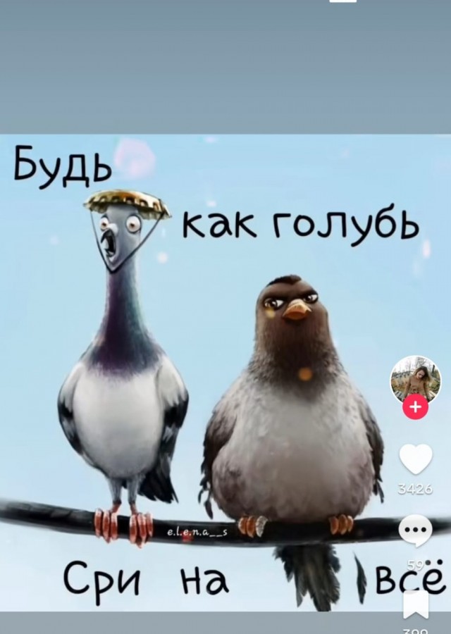 Нашла квартиру. Не могу не поделиться