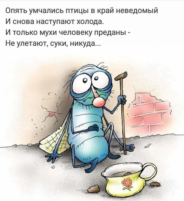 Не смог убить муху и решил провести научный эксперимент!