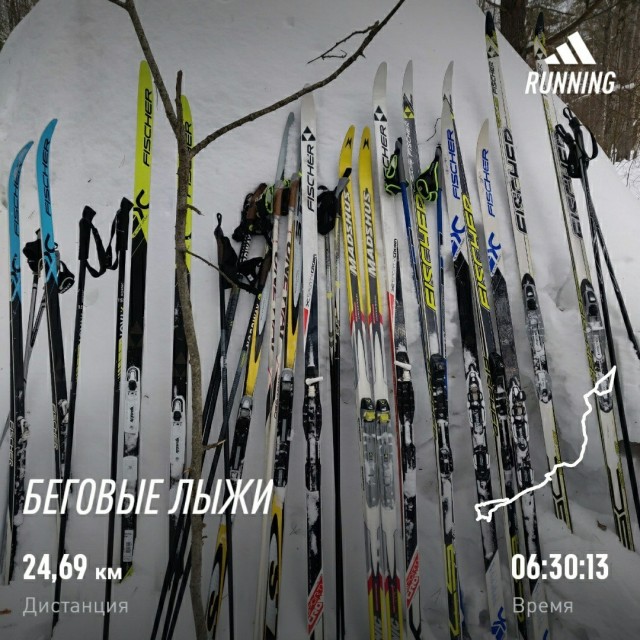 Беговые лыжи