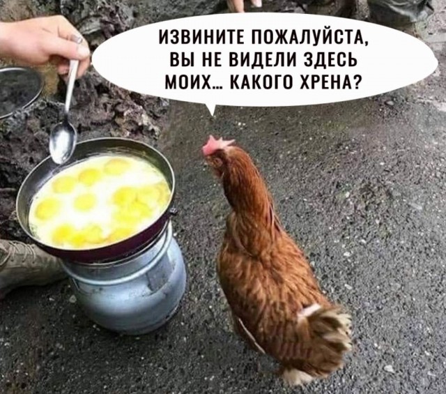 Оказывается, все эти годы мы неправильно жарили яичницу