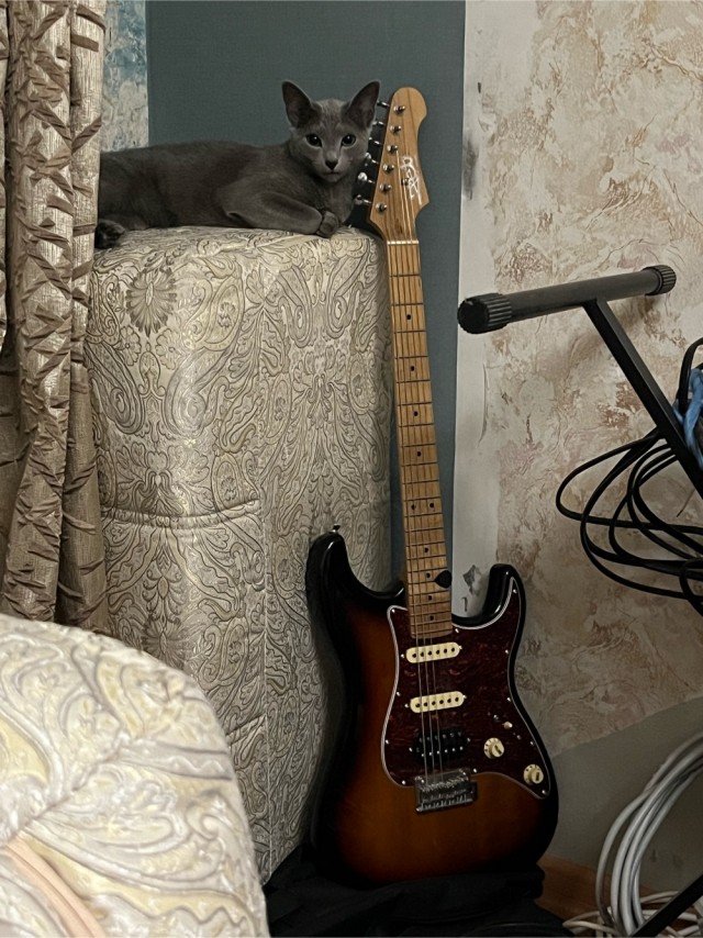 Короче, купил электрогитару