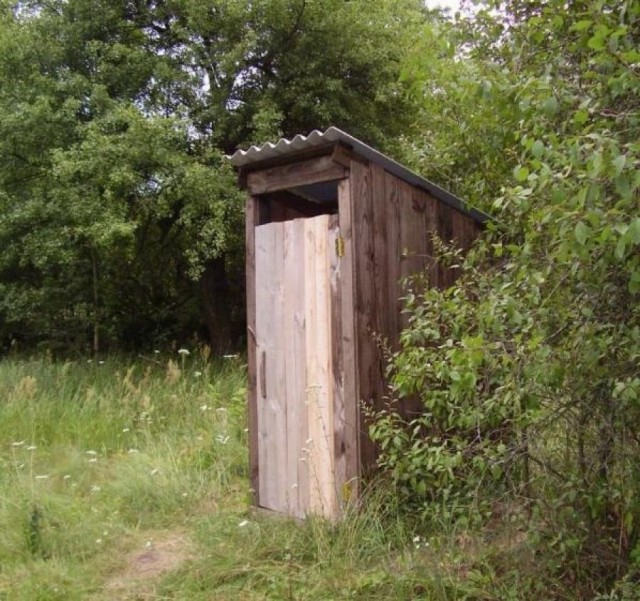 ЯП просветительный (Пчелы/Шмели/Осы/Шершни)