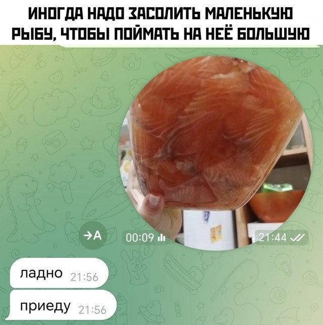 Весёлый полтишок 05.08.24