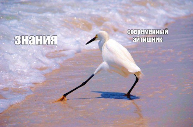 Околоайтишные мемчики 5