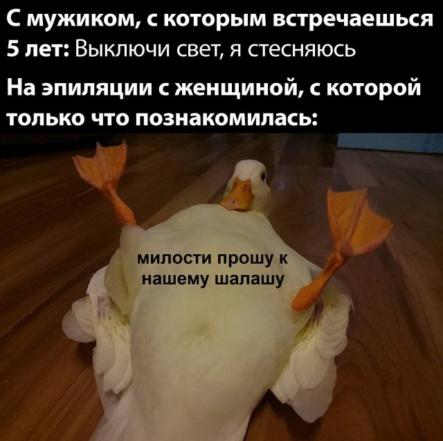 Приколы картинки ржачные