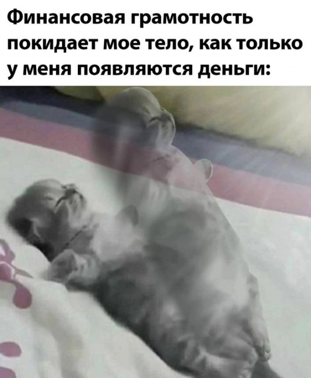 Веселые картинки к пятнице (27.09)