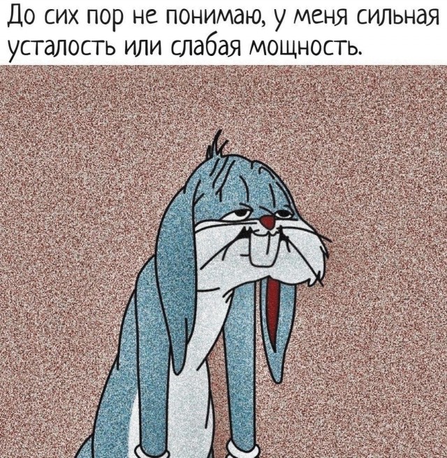 Всего понемногу. От 14.02.2025