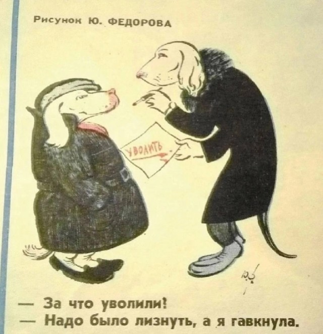 Так себе картинки 27.02.25