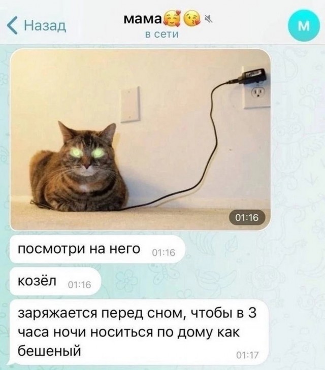 Гнездо параноика (Бояны)