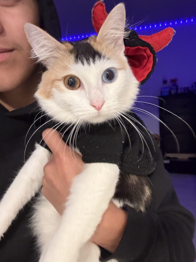 Посмотрите, кого я нашёл на улице